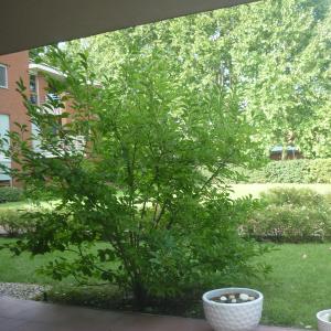 Aquincum Dunaparti Apartman