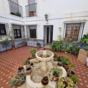Vivienda Turistica en el Patio de la Judería