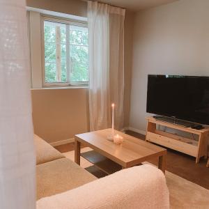 Cozy and newly renovated appartment