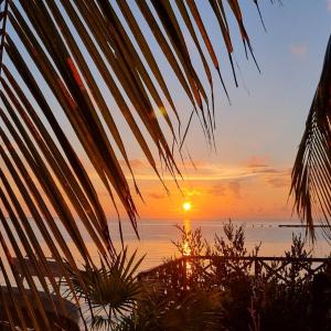 Villa on The Beach Seaside Sunrise Haven 7 bedroom
