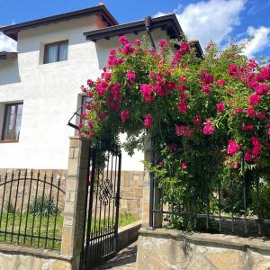 Guest House “Anchetata”
