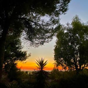 Giardinello Stagnone Sunset