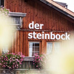 Chalet Hildegard der Steinbock Sommerwohnung Winterferienhaus