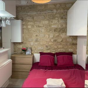 NEW Private apartment Paris city center - Les Arènes Pantheon Notre-Dame Jussieu Jardin des Plantes Quai de Seine