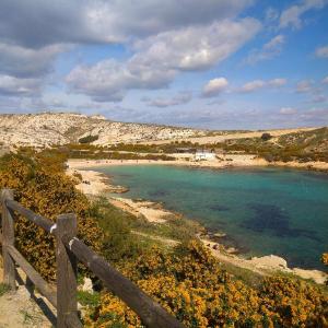 Île du Frioul