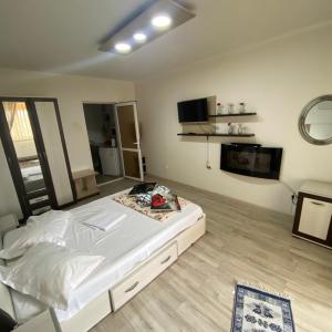 Apartment Darvys