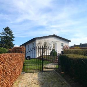 Spatzennest