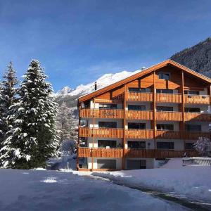 Modern Zermatt apartment with Matterhorn view