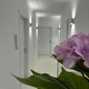 Center, Selvia White Apartment