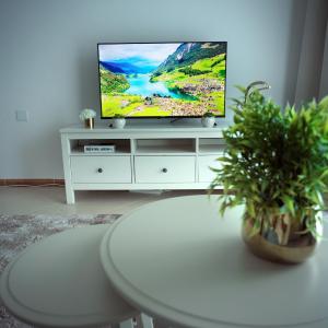 Elite Studio at Dubai Marina