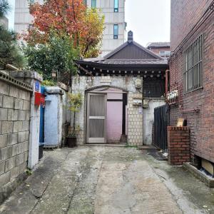 BlueBird Guesthouse - Foreign Only