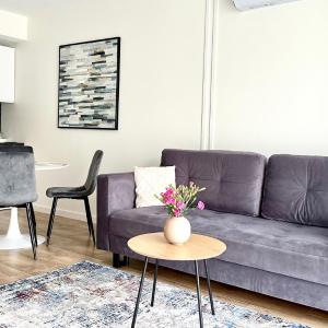 Apartament Elegant 2