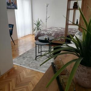Skopjanka Cozy Apartment