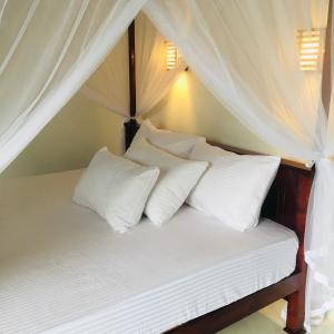 Anthony Guesthouse