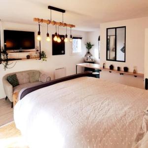 Studio Cosy Atypique - Toulouse
