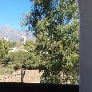 LA MAESTRANZA 28