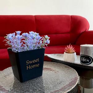 Anastasija's Place