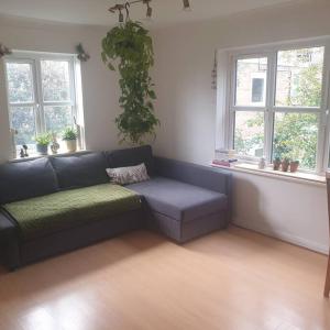 Peaceful room on sharing flat in Wimbledon