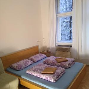 Comfy apartments in good area