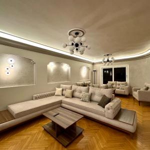 Elegant Apartment
