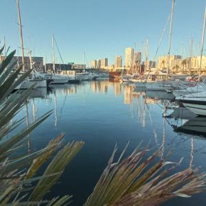 Wonderful boat experience for families and friends