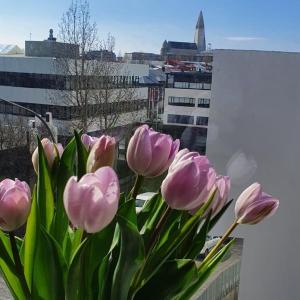 Lovely modern 1-bedroom apartment, free parking
