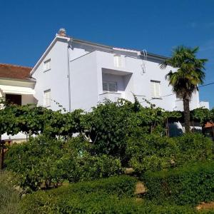 Apartment Saric