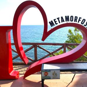 Sunrise Metamorfosi