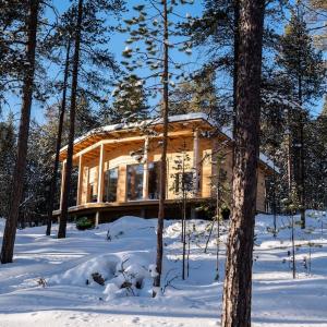 Uusi hirsimökki 7 henkilölle
