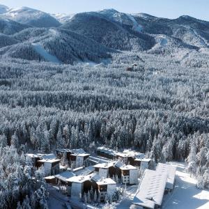 Euphoria Club Hotel