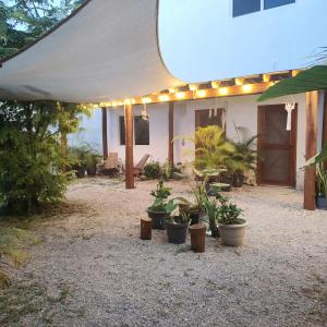 Blue Mahahual