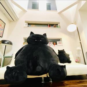 Tanuki Shinjuku
