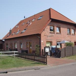 Silbermöwe