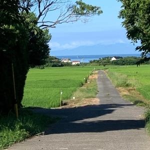 青と夕日
