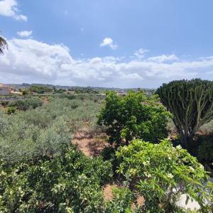 l'Araucaria casa vacanze