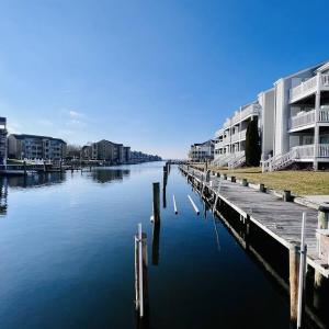 Canal Front with Swimming Pool and Grill