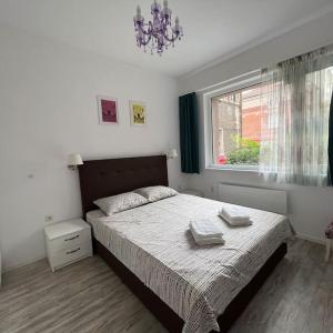 Lovely central 1-bedroom rental with patio