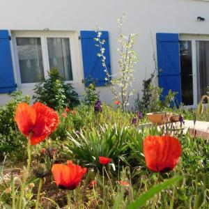 Maisonnette de Jardin