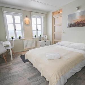 Lille Centre - Nice and functional studio