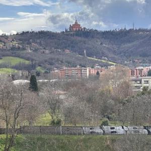 San Luca View