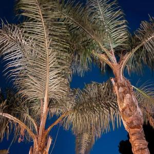 Luxury B&B Villa Tauro