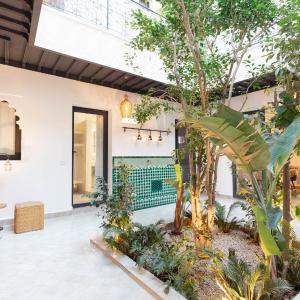 Riad Wadiya, privatif, piscine en rooftop.