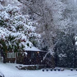 Willow Lodge & Hot Tub