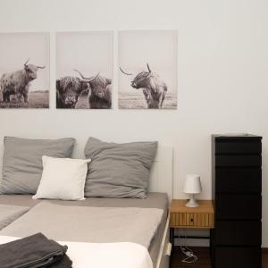 City Apartment am Zoo & Stadtkern