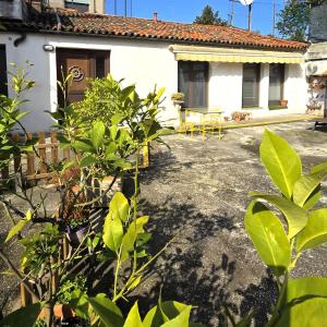 Anna's Garden Venice