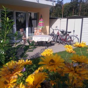 Waldblick Fewo Noeske - GM 69606