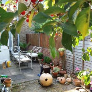 Cosy London single room (near Wimbledon)