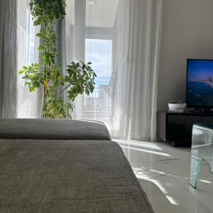 Tirana apartment