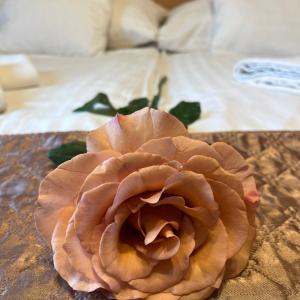 Hotel Rose City