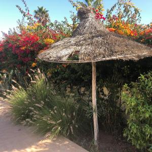 Tamaris Résidence les jardins Apparemment haut standing moderne et élégant 77 m